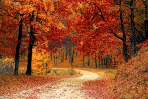 sales motivation ideas for fall